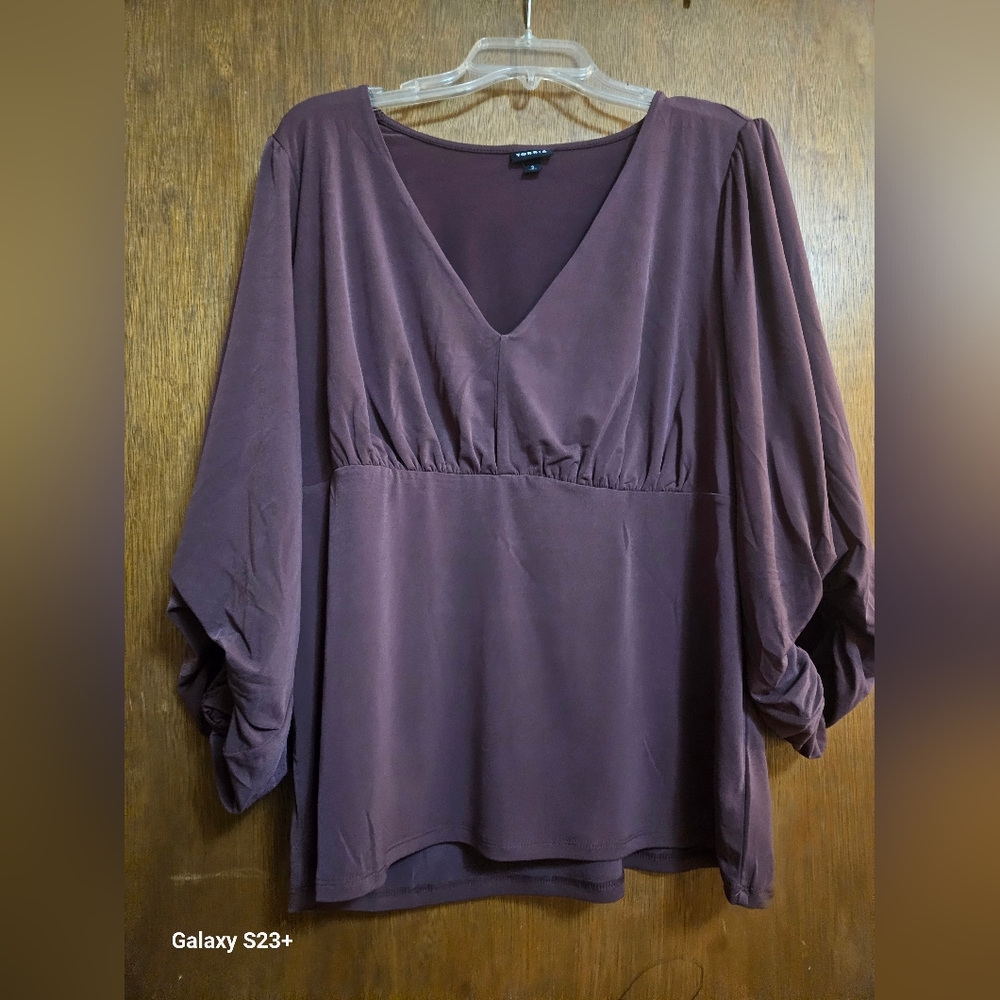 Torrid Plum Blouse